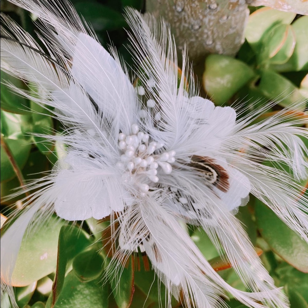 Feather hair clip